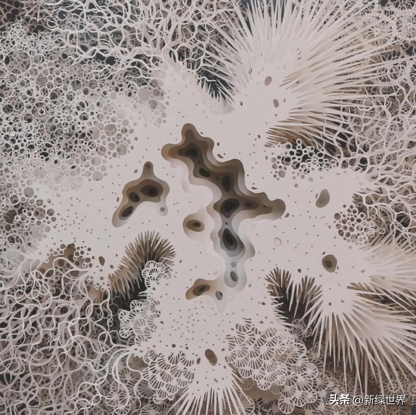 纸艺作品绘画,千变万化的纸艺术作品