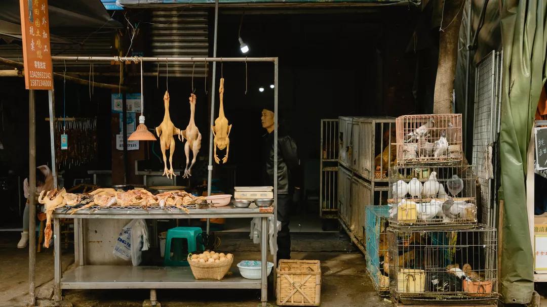 成都伏龙小区伏龙一街,土味城中村