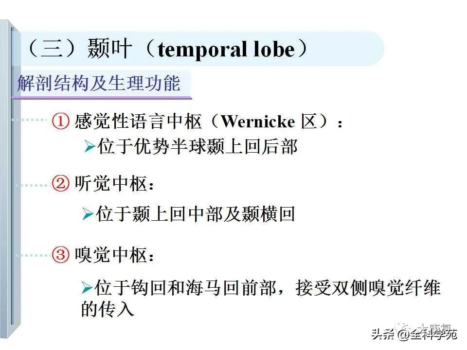 神经系统的影像与解剖定位,最全神经解剖图