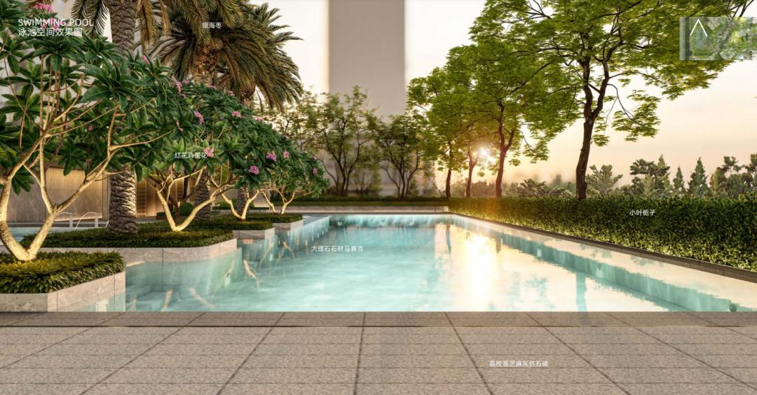 深圳前海跨越式发展,深圳前海潜力与挑战分析