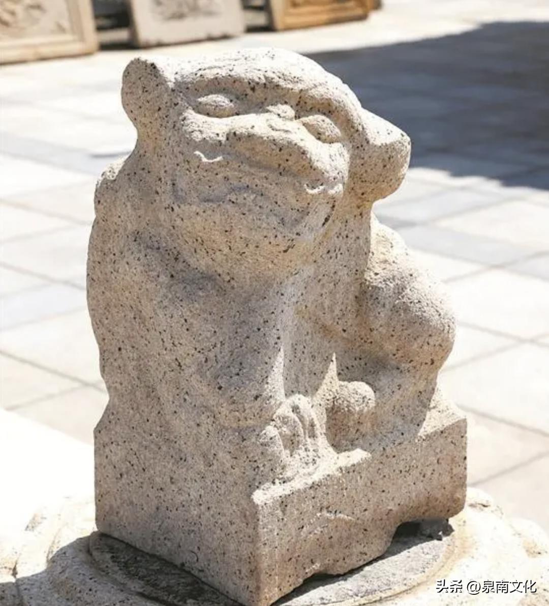 狮子科普讲解,解读狮子座