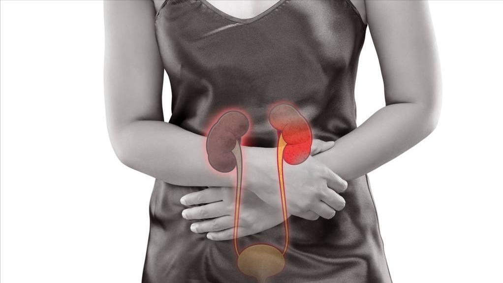 治疗肾病的西药有哪些效果好,肾病前沿治疗又有了新突破