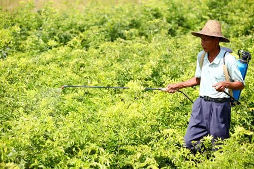 农药中毒过程科普,农药中毒有十几年了留下后遗症了