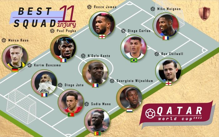 世界杯法国队受伤,本泽马世界杯受伤