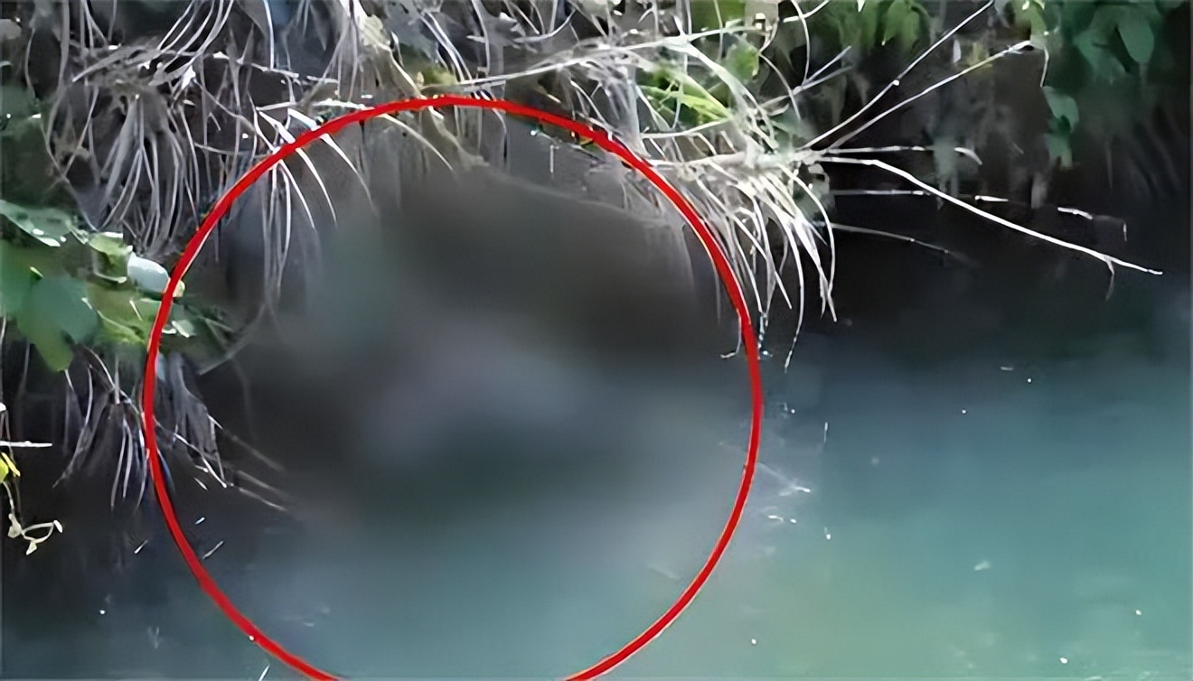 长江惊现玫瑰纹身女尸,乌江惊现无名女尸