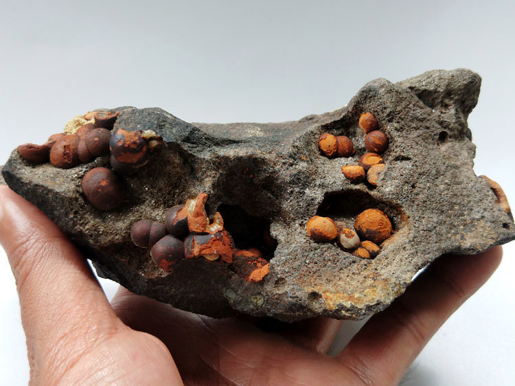 2019年大连机场女子带辐射物品,大连海关查出辐射物