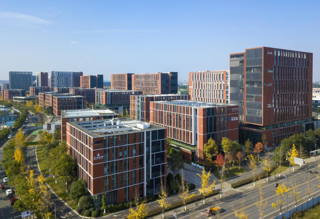 事关科技创新“一号工程”，成都如何破题“中试”