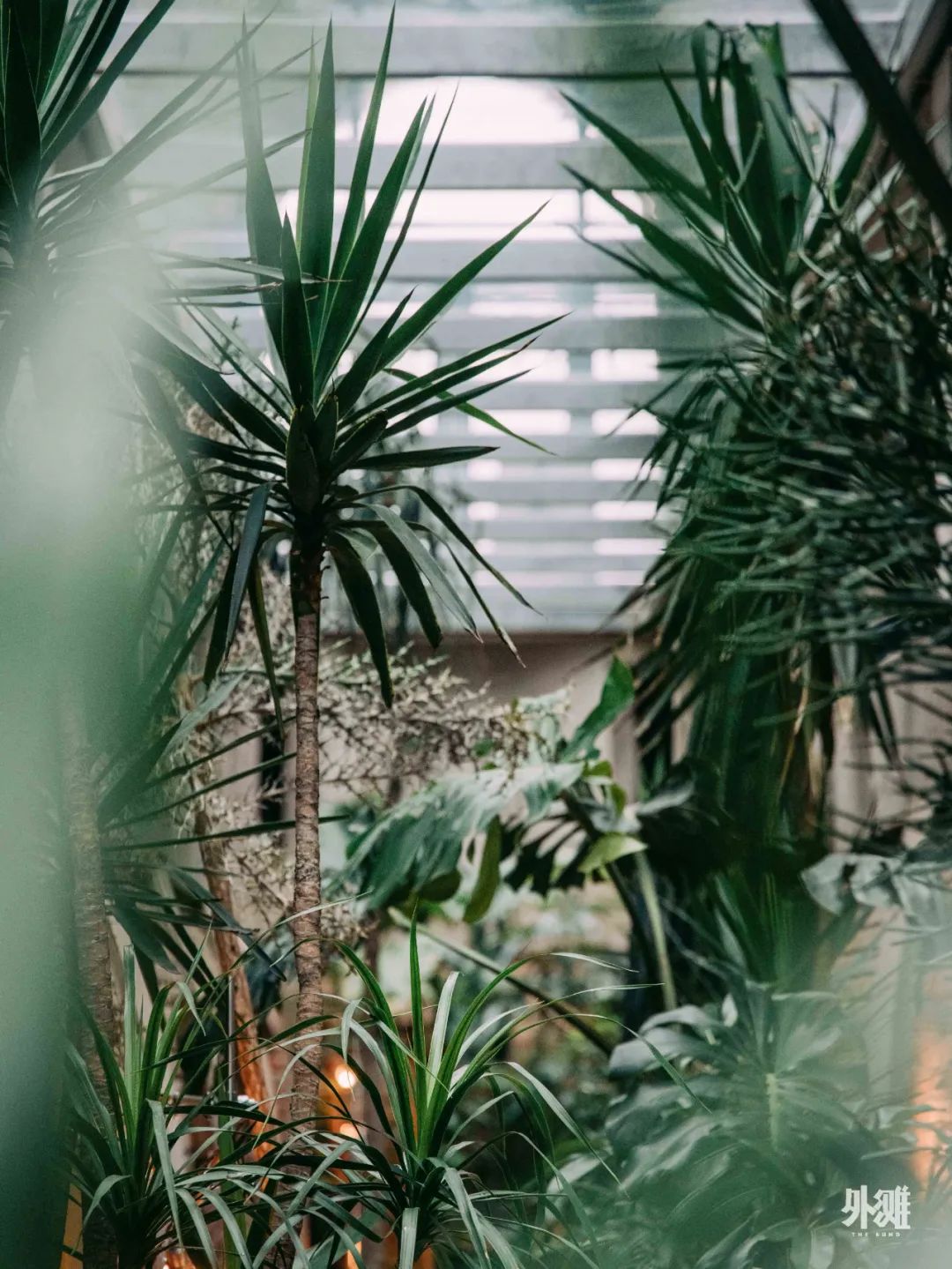 上海新晋热门打卡地，在红砖窑厂里喝咖啡、露营