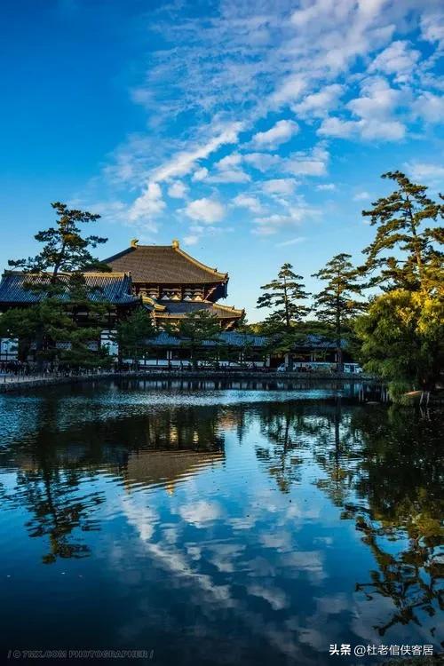 日本京都奈良之行,日本奈良大阪东京八天之旅