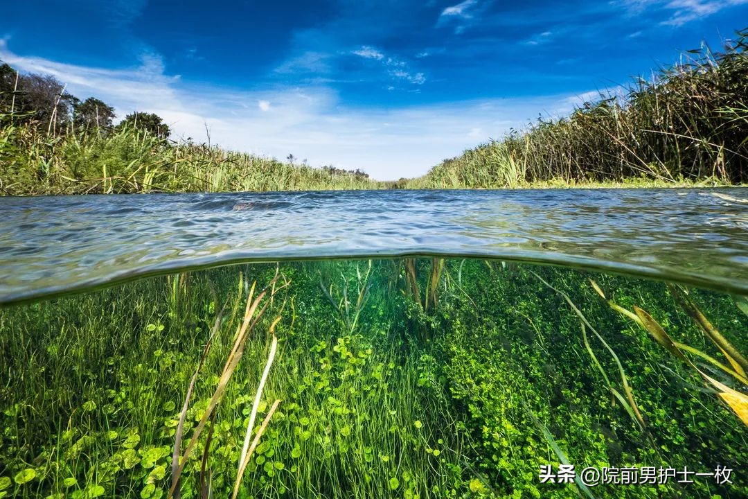 急救溺水者的方法图片,溺水急救误区及科学直播回放
