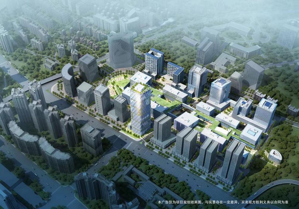 深圳水泥森林,深圳湾环境怎么样