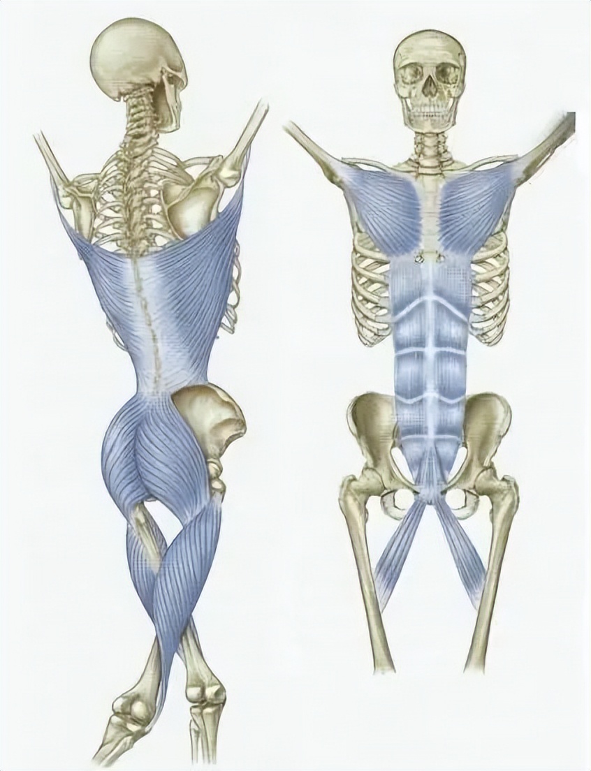 半边腰痛的最快治疗方法,常见腰痛的原因及自我治疗