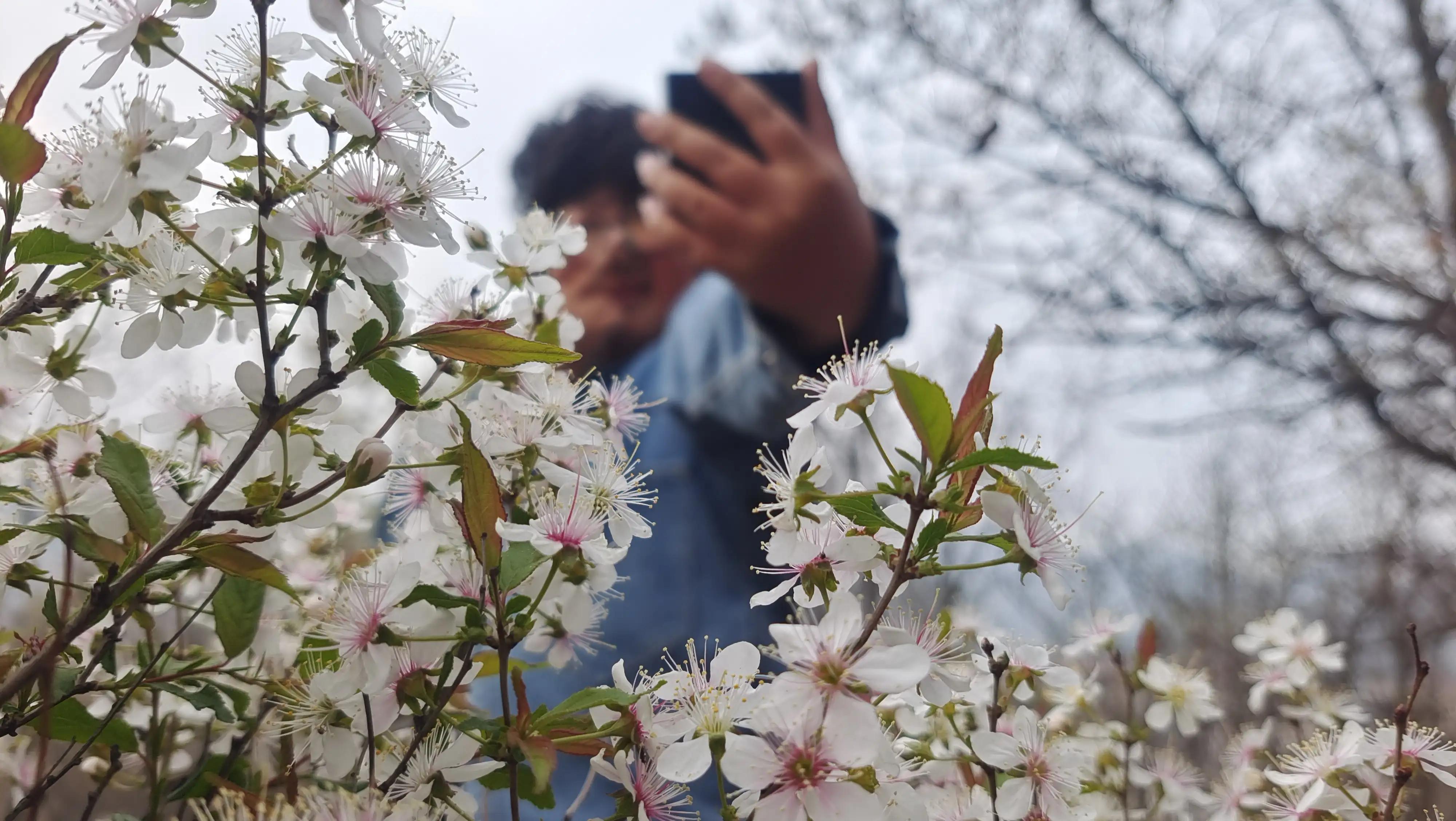 解封后你最想做什么,解封后你最想去的地方