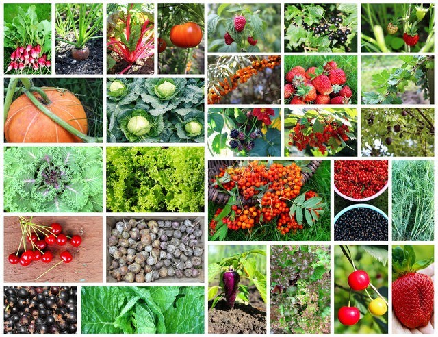 小型杂货店该怎么进货,小型小超市经营模式