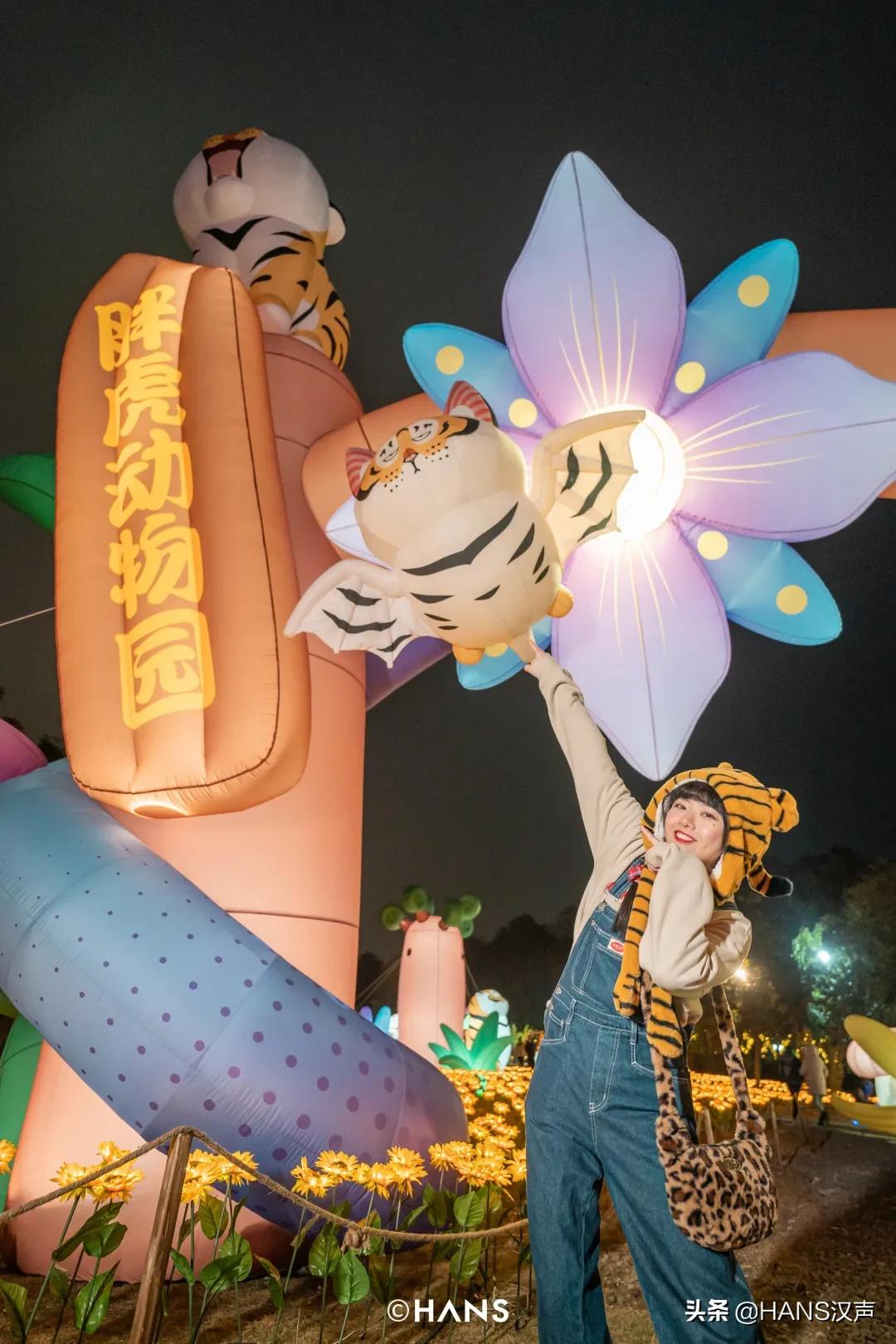 请注意！胖虎出没武汉街头