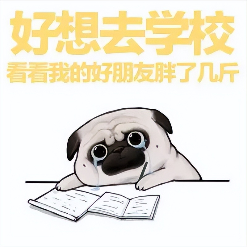 广东受欢迎的十六所大学,广东最没存在感的十大本科大学