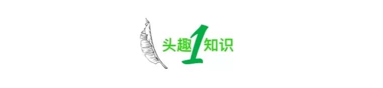 女生花5000买包,女生花了8000买包