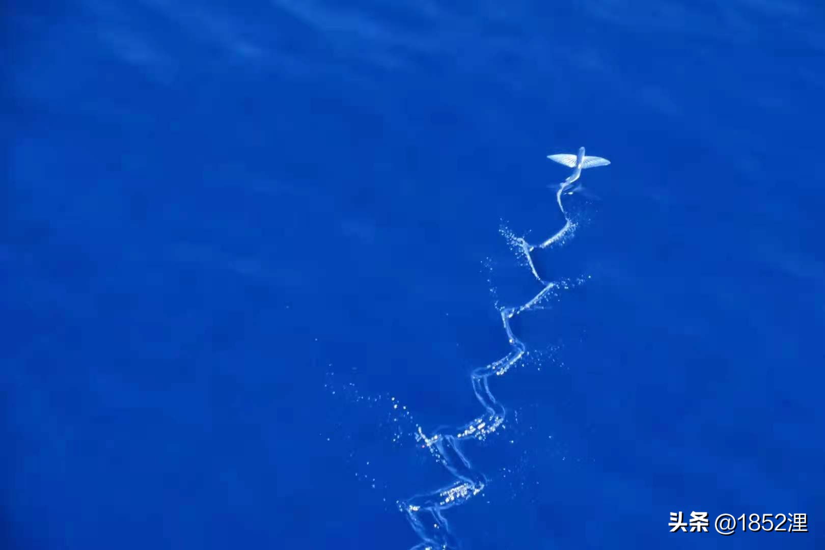 环球港,寰球港口简介