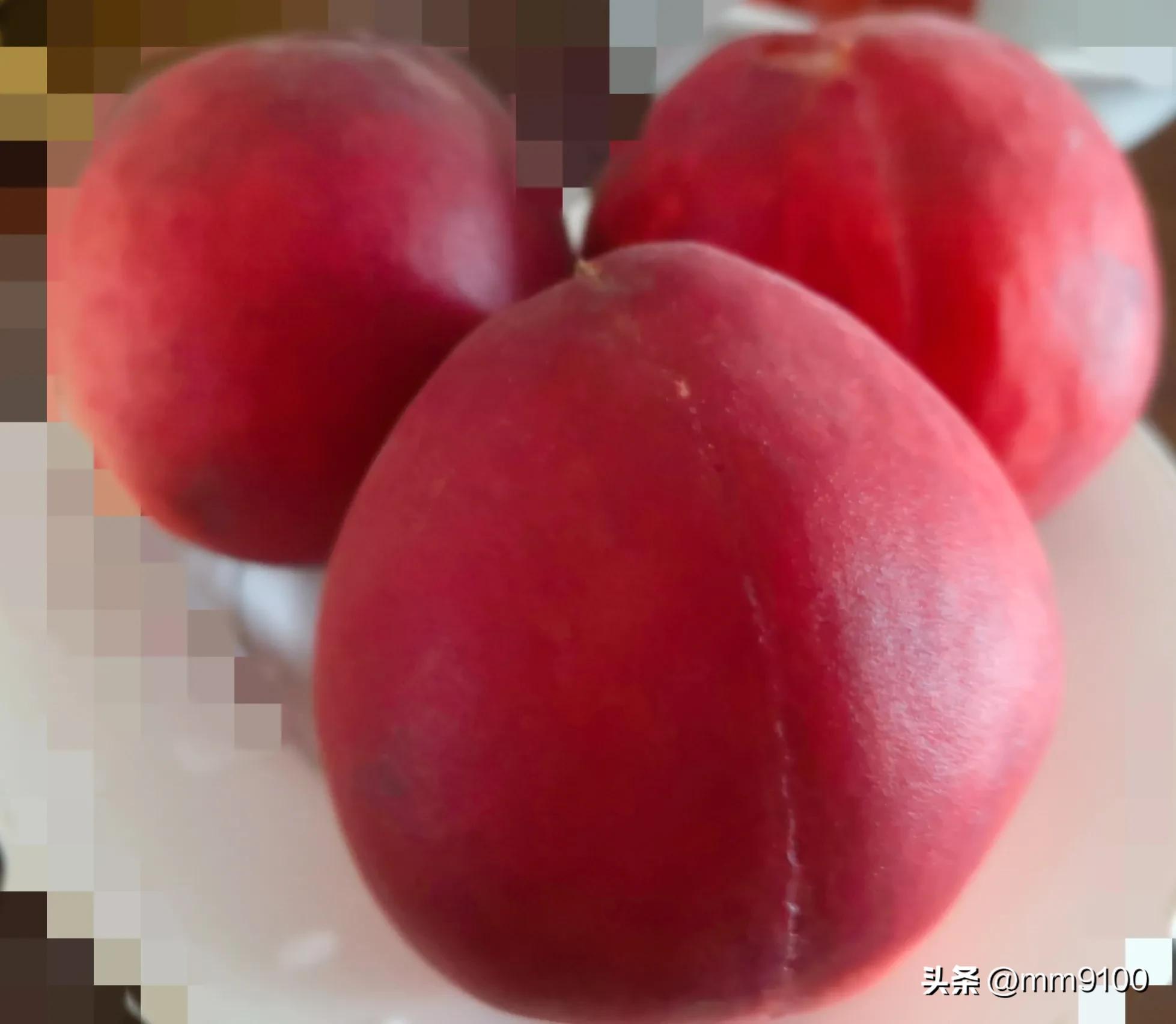 职场生存法则职场关系,职场生存法则团队协作