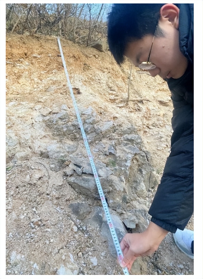 2024北京石景山高三期末语文解析,2024高三海淀期末试题难度