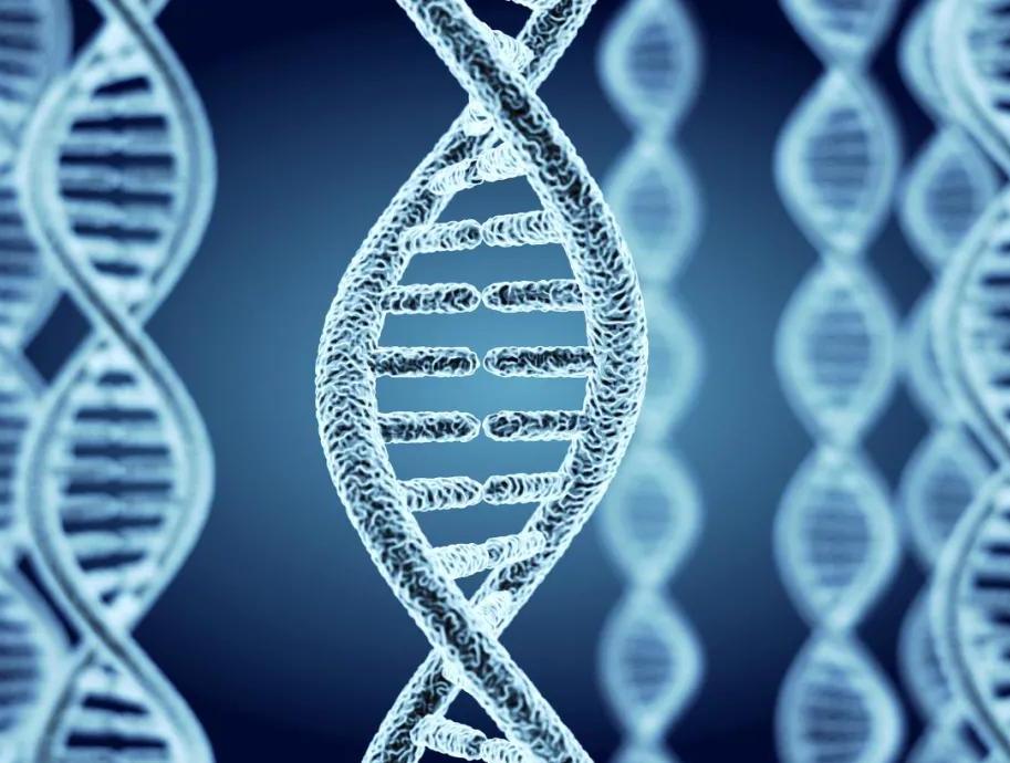 男人生理毛发变白什么情况,男毛发变白是什么原因