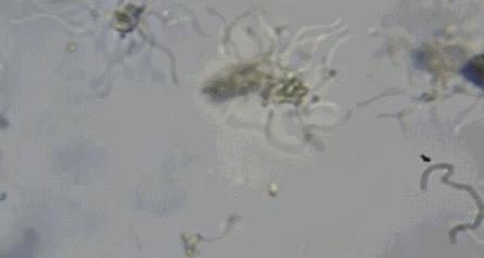 家居必备12个好物,家居七种好物