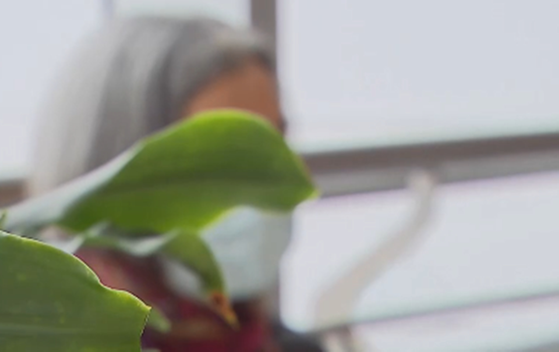 打架把别人鼻梁打断了判几年,打架鼻梁打断判刑几年