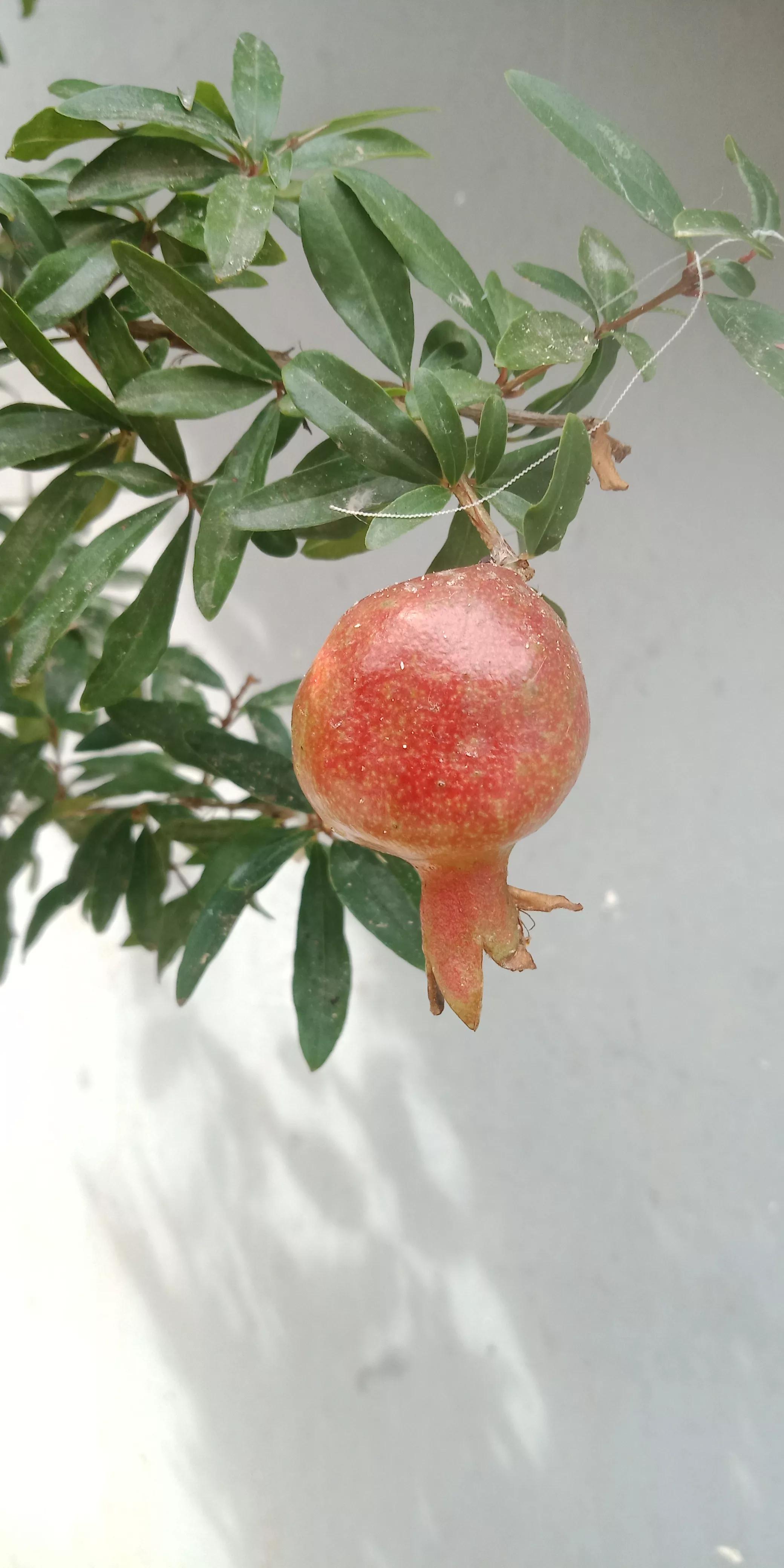房屋漏水房顶需要怎么改造,旧房改造后楼顶漏水找哪里处理