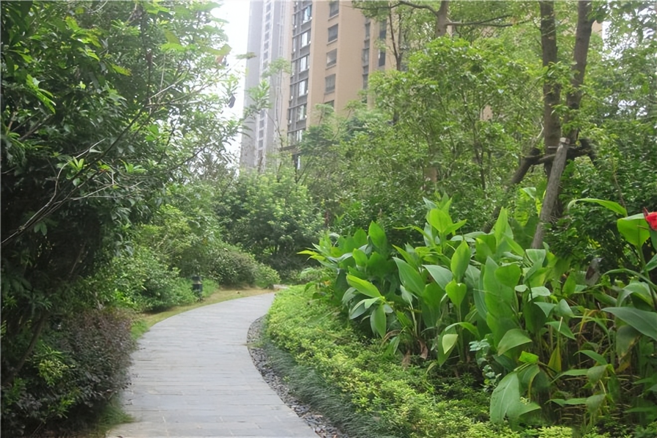 长沙华润凤凰城紫云府户型图,星沙华润凤凰城楼王出售