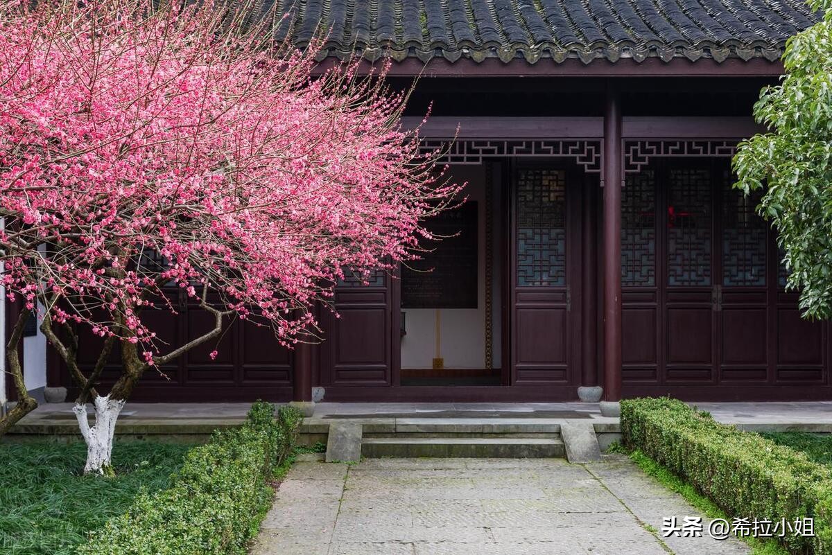 去杭州旅游最该去哪些主要景点,杭州旅游必去的5大景点推荐一下