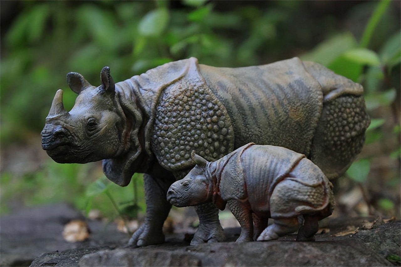 世界上撞击力最猛的生物,世界上杀伤力最强的五种生物