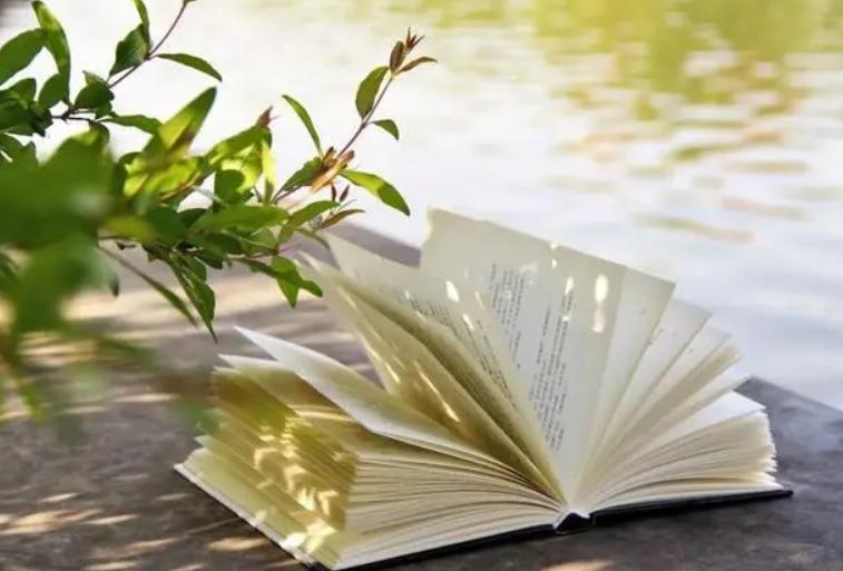 读怎样的书能提高读书效率,读书怎样读好一本书