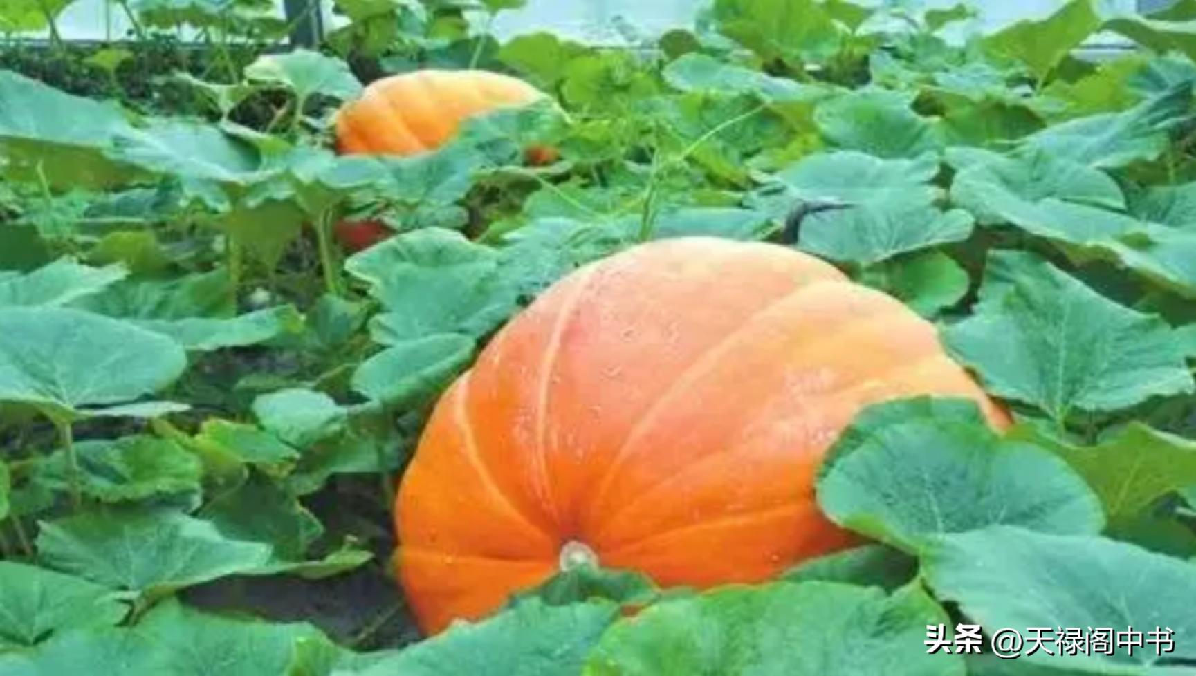 飞天圆梦的重要性,飞天圆梦再踏征途