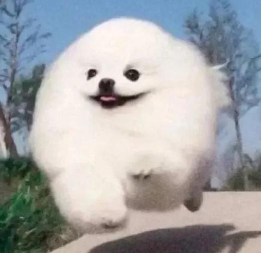 tara女团谎言,tara女团现在过得怎么样