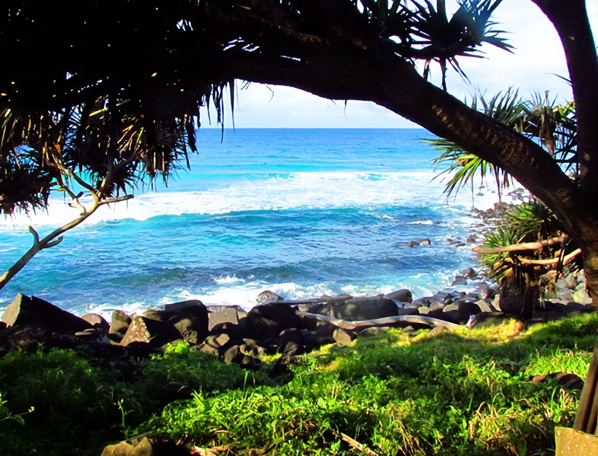 昆士兰洲纯玩自由行攻略,大洋洲除了澳大利亚哪里适合旅游