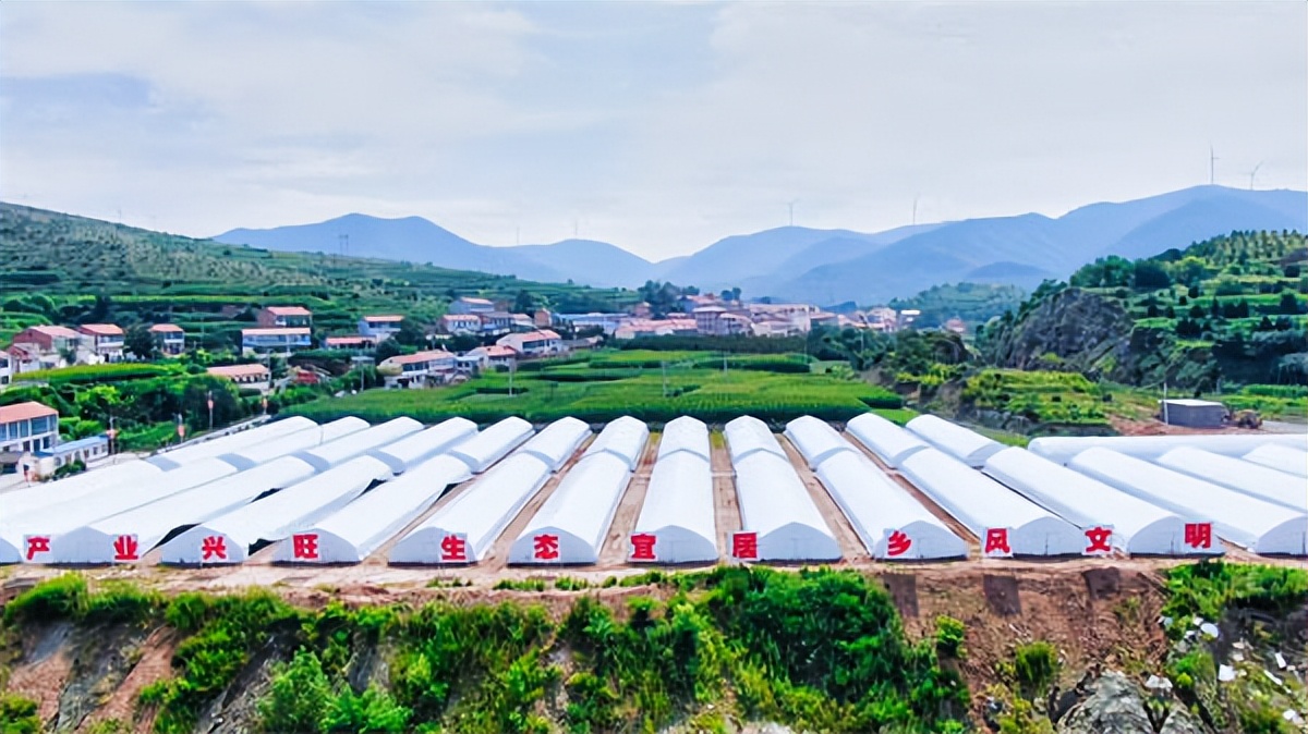 全国脱贫攻坚先进个人陈新胜,2019年脱贫攻坚先进村典型事迹