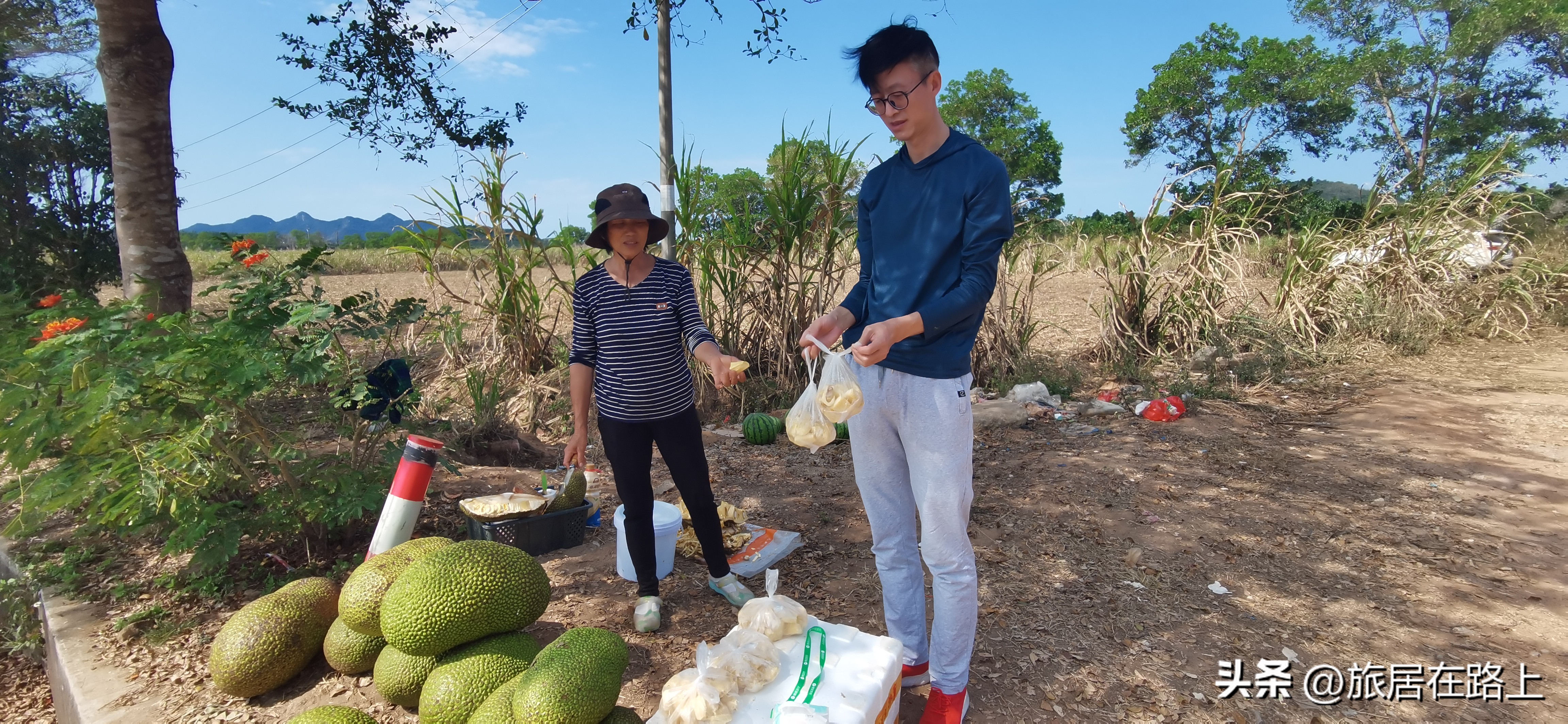 棋子湾上的仙人掌,海南棋子湾旅游攻略一日游