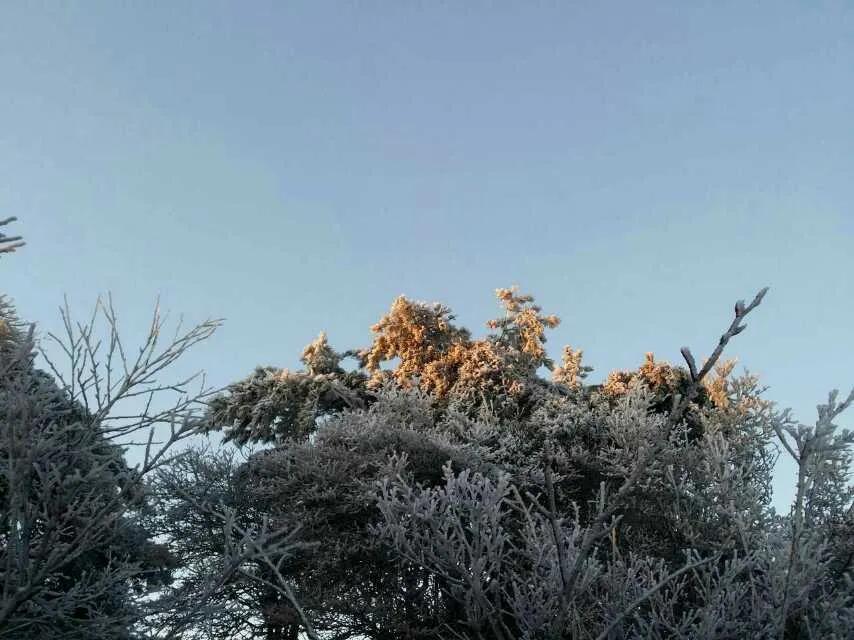 游黄山的经历,第一次旅行黄山