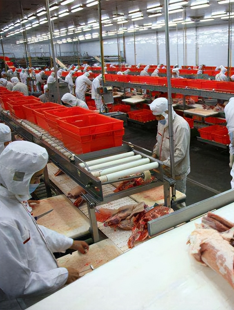 吃了烤肠里面的蛆会有事吗,火腿肠里吃到虫子是真的吗