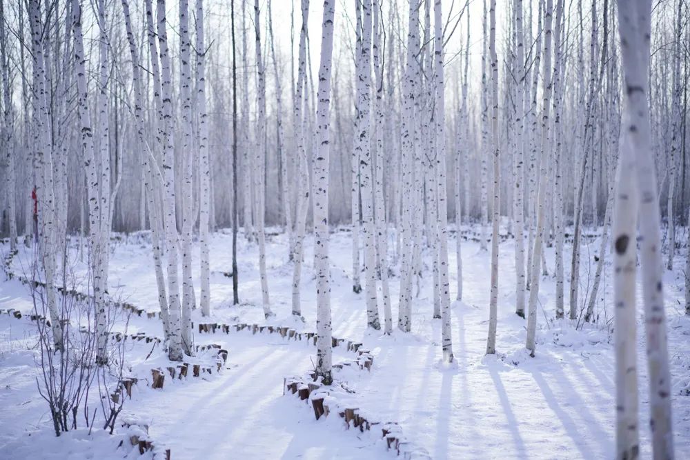 去哪看极光最好的地方,去哪里看极光最好的地方