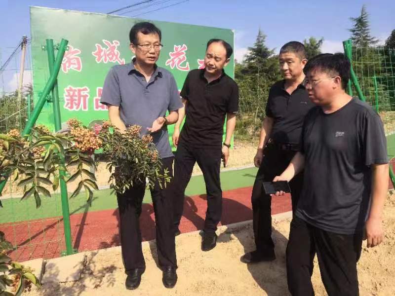 山西运城王文俊,王文俊山西