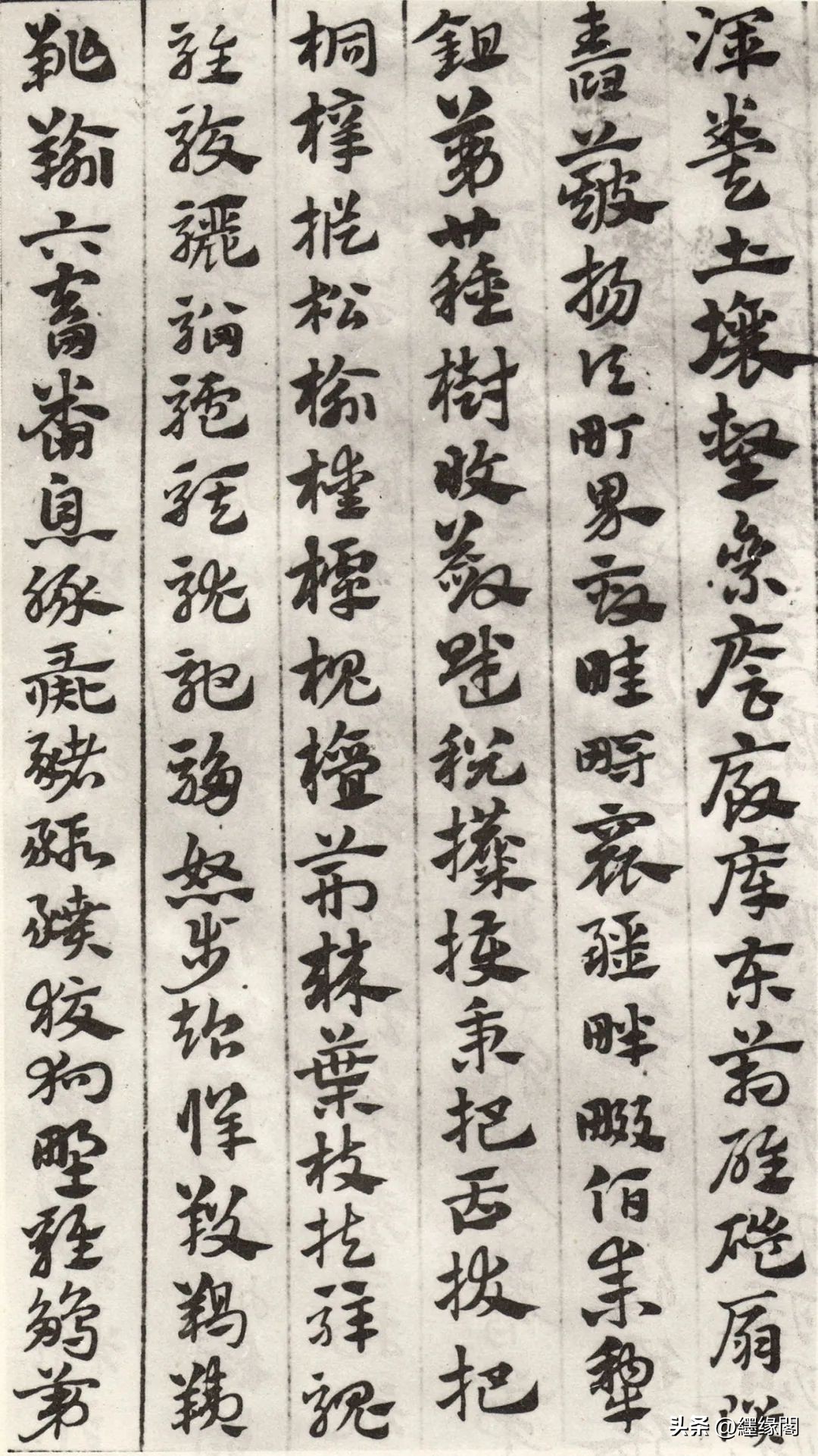 赵孟頫急就章的临摹要点,赵孟頫书札全集