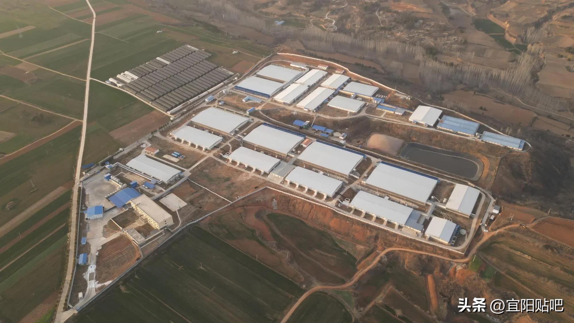 洛阳市宜阳县离高村镇有多远,宜阳到高村有多少公里