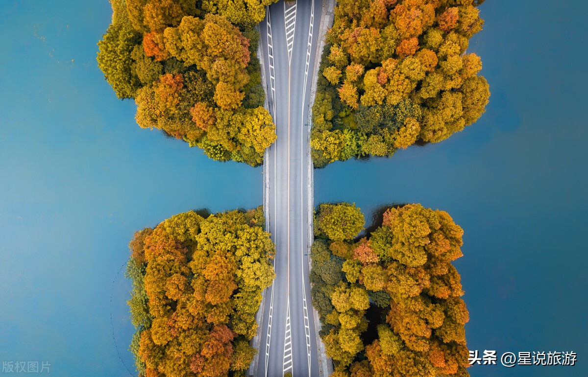 跟着唐诗去旅行100首,跟着唐诗去旅行讲的五首古诗