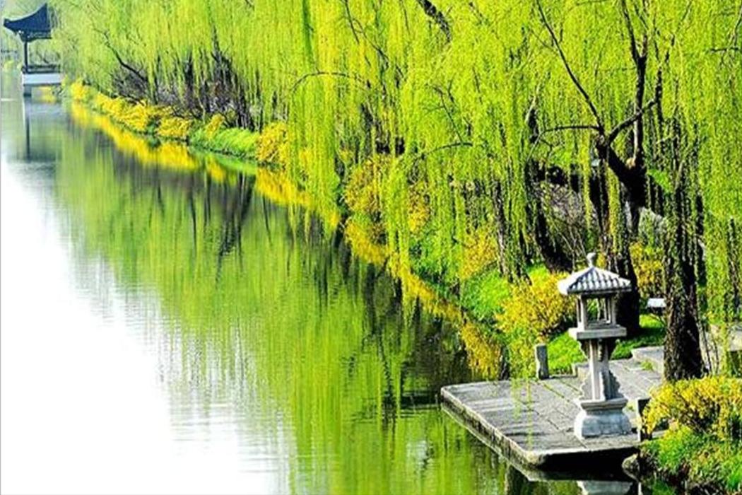 描写春天的古诗宋词有哪些,唐诗宋词鉴赏春天的美景有哪些