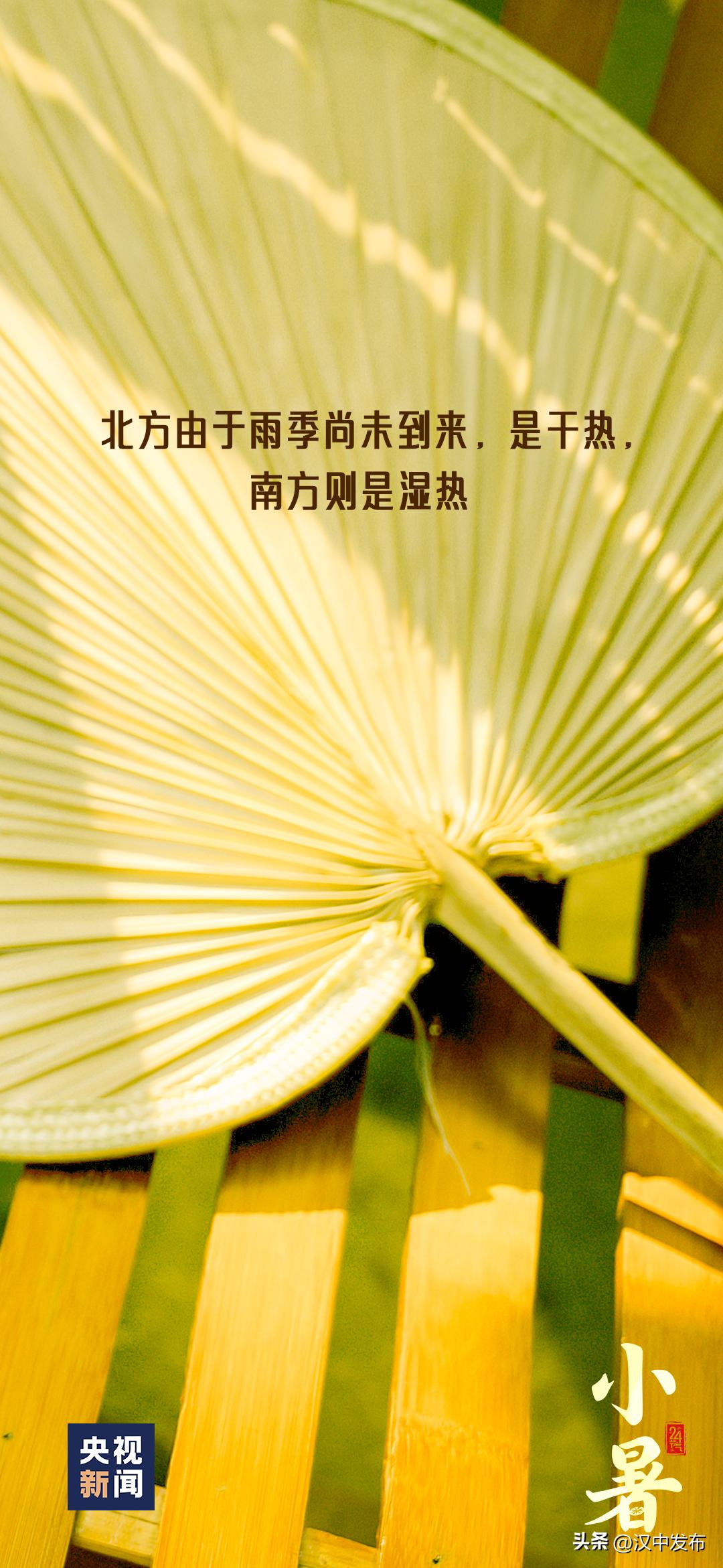 今日小暑风动莲生香心静自然凉,今日小暑诗句