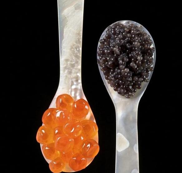 鲟鱼多少年产鱼子酱,鲟鱼顶级鱼子酱