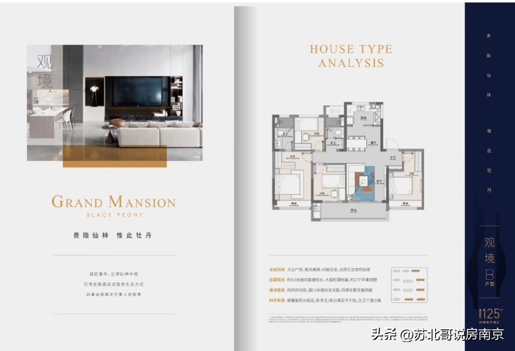 南京汇通路黑牡丹大观天下开发商,汇通路牡丹大观