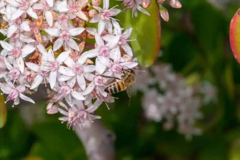 宾得新款16-50评测,宾得镜头18-135样片测评