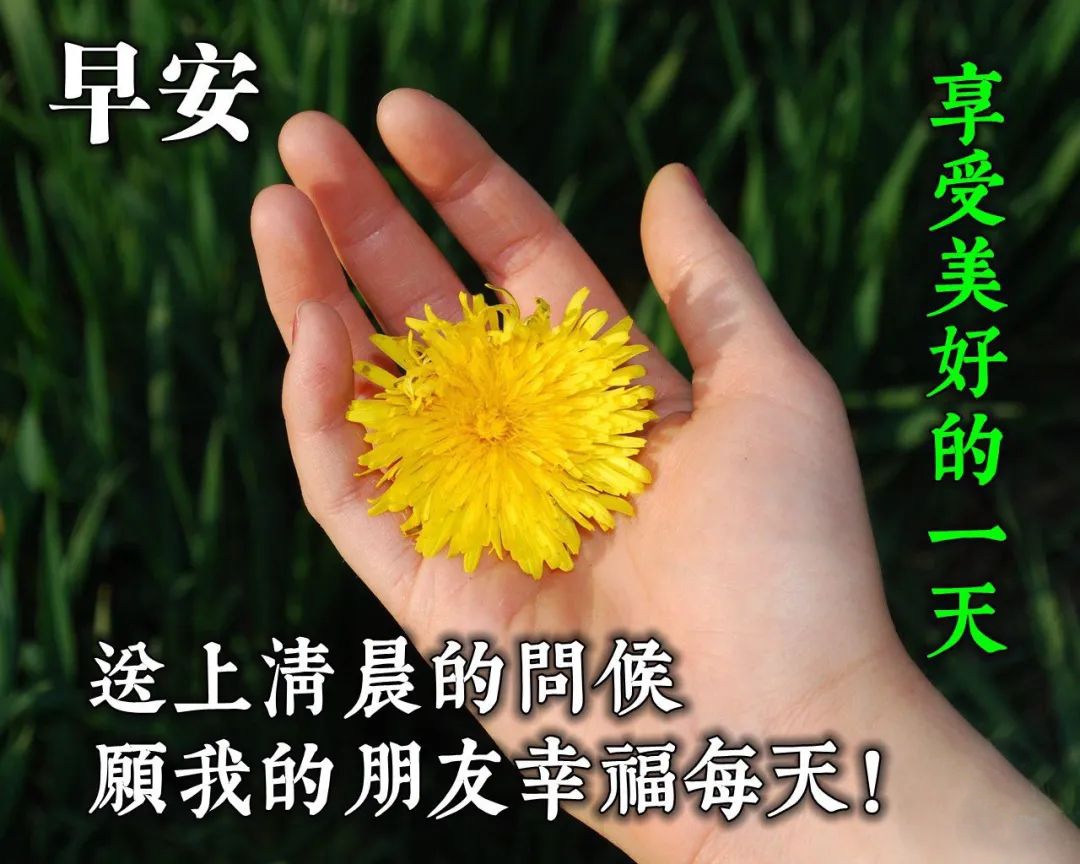 精致优美早上好的微信问候图片,微信祝福语早上好动态图片